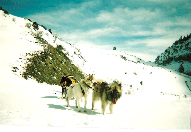 cervieres