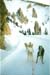 la_casse_derserte