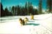le_lac_de_roue