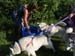 mont_serein_22