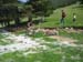 mont_serein_39