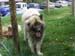 mont_serein_47