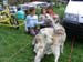mont_serein_52